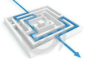 3d Maze Solved, Business Concept