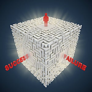 3d maze - success failure concept