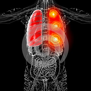 3D medical illustration of the human lung