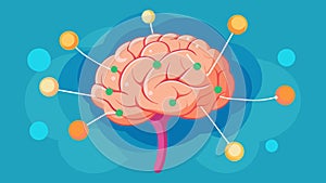 A 3D model of a brain with different areas representing different stages of nerve cell rejuvenation after being treated