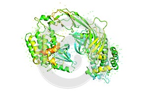 3D model of a protein molecule