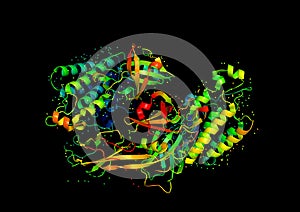 3D model of a protein molecule