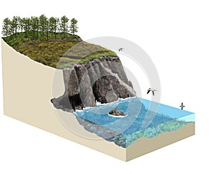 3d model terrain cliff ecosystem