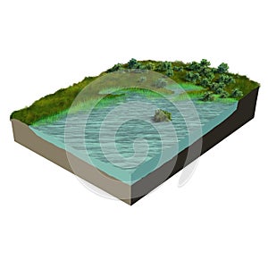 3d model terrain swamp