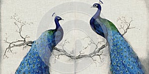 3d mural background blue peacock on branch wallpaper . with flowers