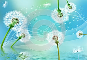 3d mural wallpaper waves background white paper flowers, colorful dandelions . blue background