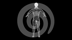 3D naked male body on black background. Human anatomy concept. Muscles anatomy system. For title, text, presentation