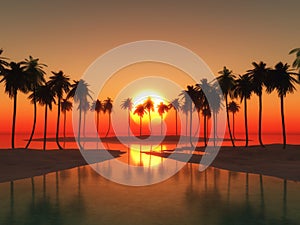 3D palm tree landscape against a sunset sky