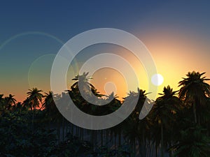 3D palm tree landscape at sunset