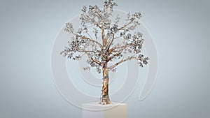 3D precious metal tree timelapse grow
