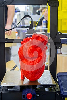 3D printer model of human heart printed 3D printer. Red prototype of human heart