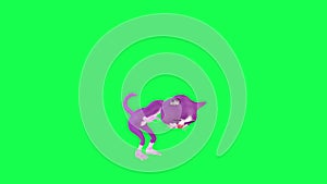 3D purple animated talking cat closing the box from left angle on green screen 3D people walking background chroma key Visual effe