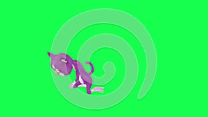 3d purple cat fighting and getting drunk from left angle on green screen 3D people walking background chroma key Visual effect ani