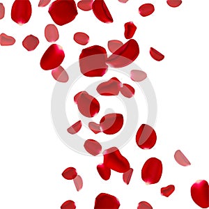 3d realistic flying rose petals background. Template for wedding, birthday or party invitation cards and banners