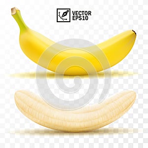 3d realistic isolated vector peeled and whole banana fruit