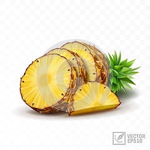 3d realistic isolated vector pineapple set, half pineapple with leaves, slices and a half