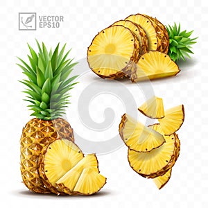 3d realistic isolated vector pineapple set, whole pineapple with leaves, falling pineapple slices and and pieces and a half