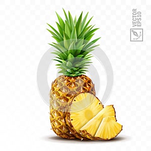 3d realistic isolated vector pineapple set, whole pineapple with leaves, pineapple slices and pieces