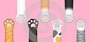 3D realistic multi-colored cat paws  legs  dog paws  kitten footprint set isolated on pink background.