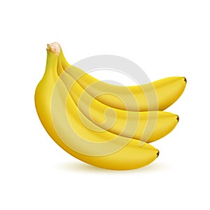 3d Realistic ripe bunch of bananas. Vector illustration isolated on white background