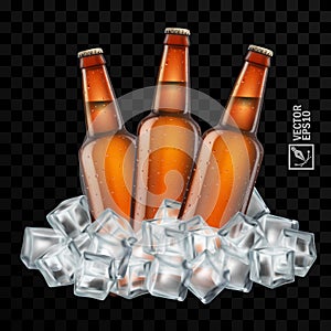 3d realistic transparent brown beer bottles in ice cubes