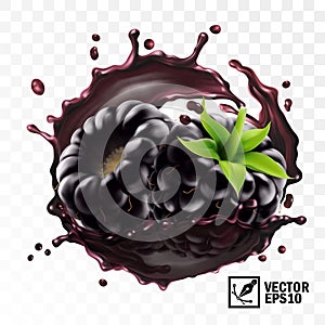 3d realistic transparent isolated vector, blackberry a sprig in a splash of juice with drops, edible handmade mesh