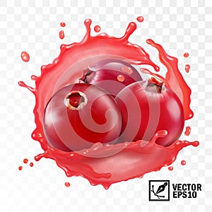 3d realistic transparent isolated vector, cranberry in a splash of juice with drops, edible handmade mesh