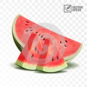 3d realistic transparent isolated vector, half and slices of juicy watermelon