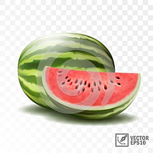 3d realistic transparent isolated vector, whole and half juicy watermelon