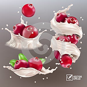 3D realistic vector set of different splashes of milk or yogurt with cranberry and leaves