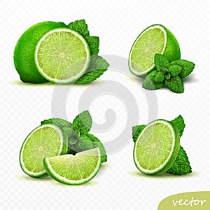 3D realistic vector set of elements lime with mint, whole lime, sliced lime, drop lime oil, leaves
