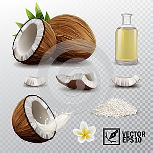 3d realistic vector set of elements whole coconut, half coconut, coconut chips, splash coconut milk or oil, coconut chips,