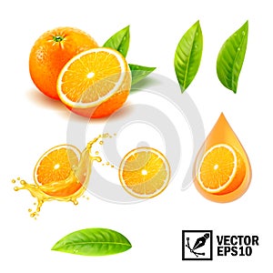 3d realistic vector set of elements whole orange, sliced orange, splash orange juice, drop orange oil, leaves