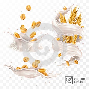 3d realistic vector splash of milk or yogurt with wheat grains and ears