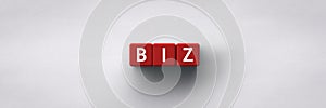 3D red Cubes with the word acronym biz for business