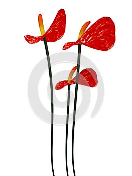 3d red floers