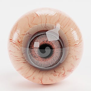 3D Render of Animal Eye