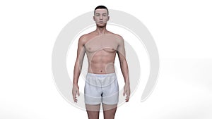 3D Render : Animation for the transformation of male body shape