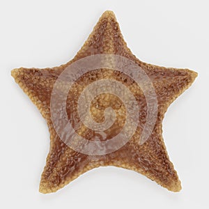 3D Render of Bat Starfish