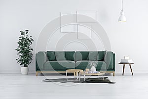 3d render of beautiful interior with green sofa and white walls