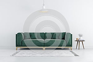 3d render of beautiful interior with green sofa and white walls