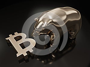 3d render of bitcoin symbol and bear over dark