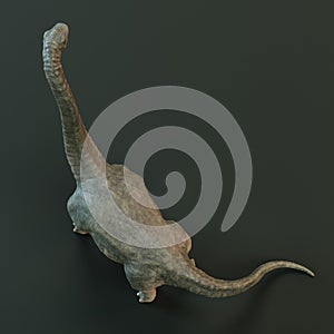 3D Render of Brachiosaurus Dinosaur