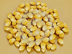 3D Render of Corn Seeds