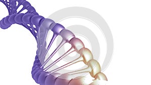 3D render DNA structure  polygonal wireframe DNA isolated background. 3D illustration