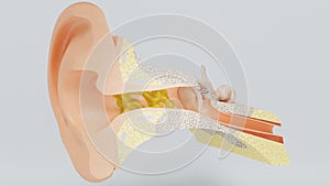 3d render ear cleansing earwax ear stick. 3d illustration