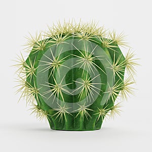 3D Render of Golden Barrel Cactus