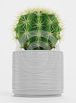 3D Render of Golden Barrel Cactus