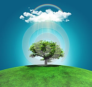 3D render of a grassy landscape with a tree, rainbow and raincloud