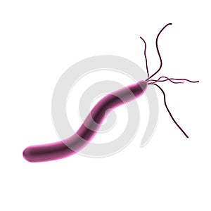 3d render of helicobacter pylori